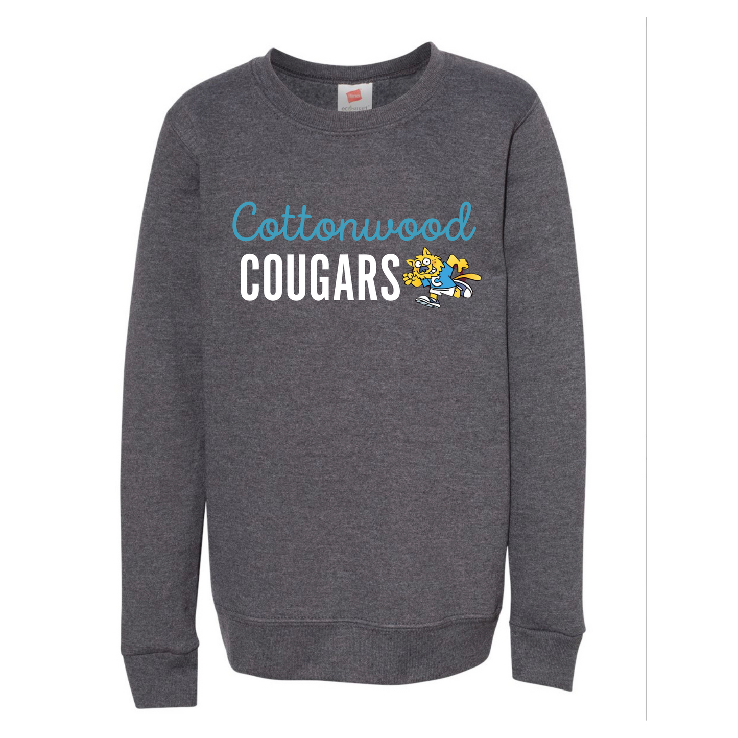 Cottonwood Dark Grey YOUTH sweatshirt